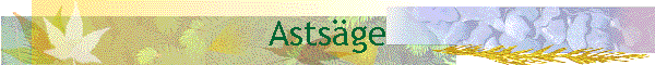 Astsge