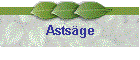 Astsge