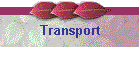 Transport